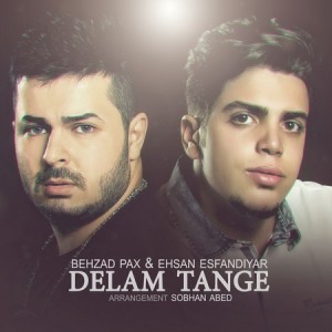 delam-tange-300x300